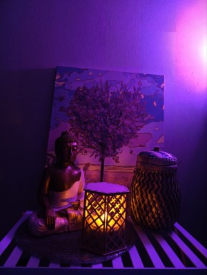 Частная массажистка Ника, 24 года, Москва - фото 7